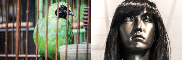 diptych by Jacques Alois Morard, green bird, black mannequin